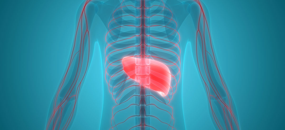 BRAND’S® Article -  Learn to Love Your Liver